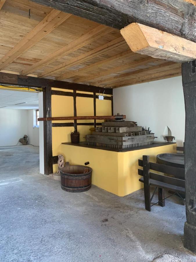 Le Loft Villa Wintzenheim Dış mekan fotoğraf